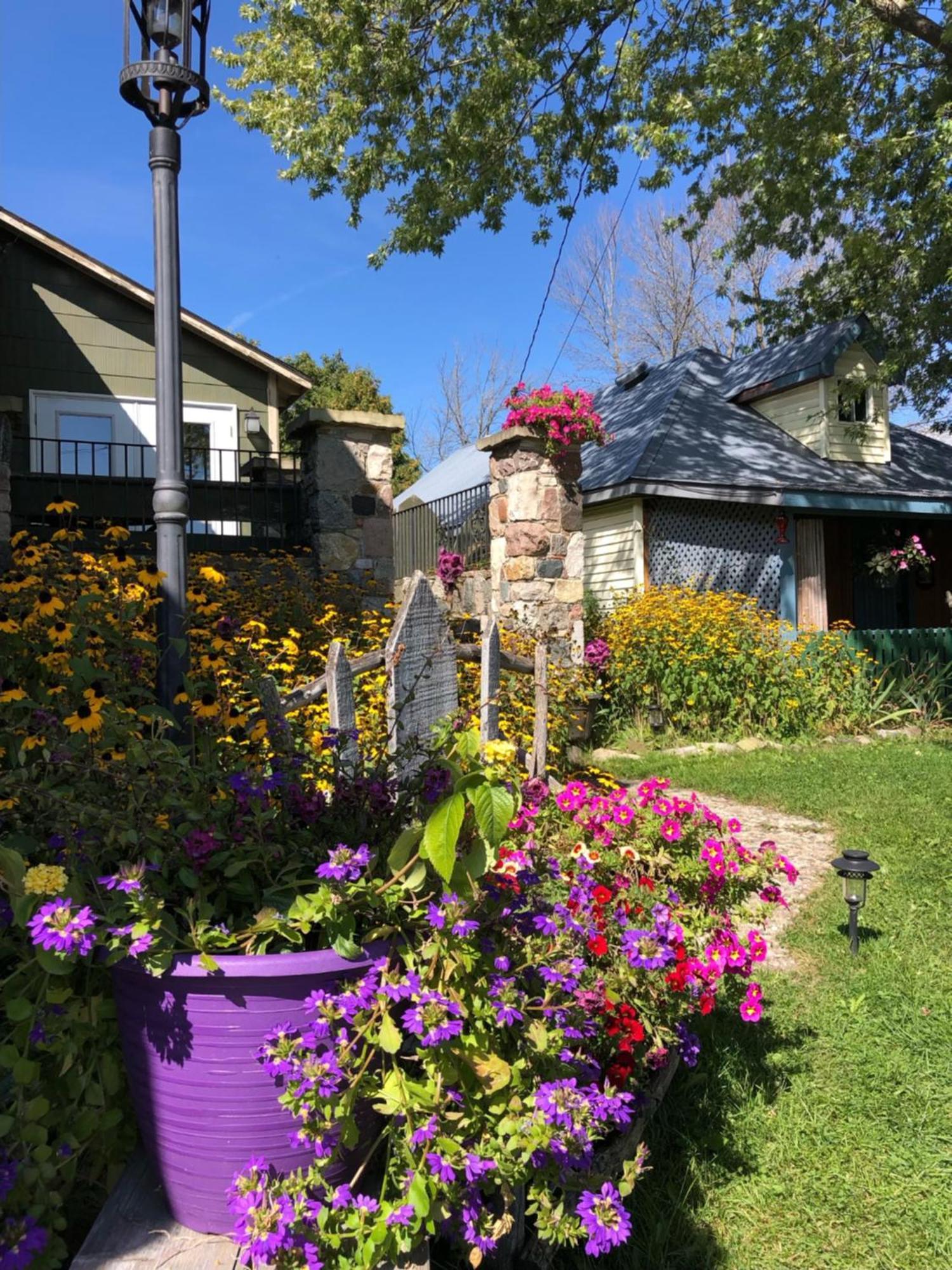 Spry Church Cozy Cottage Lion's Head Bagian luar foto